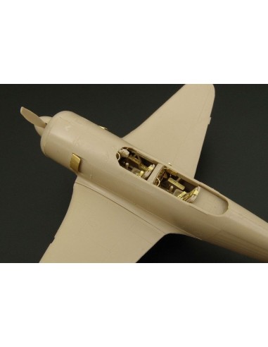 Jak 11- Let C-11 (RS Models kit) 