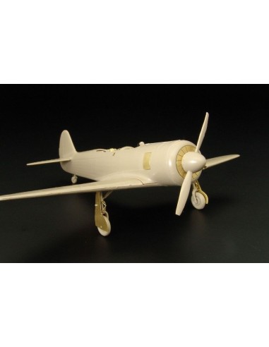 Jak 11- Let C-11 (RS Models kit) 