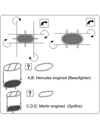 Intake guards RAF (air-intake meshes) 
