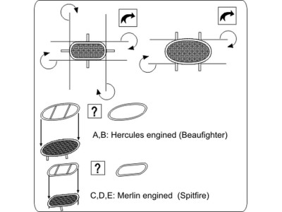 Intake guards RAF (air-intake meshes) 