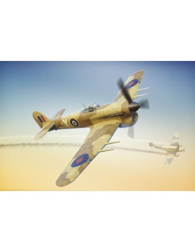 Typhoon Mk Ib Car Doors-Desert and Luftwaffe trials 