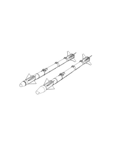 AIM-9X Sidewinder (2pcs) 