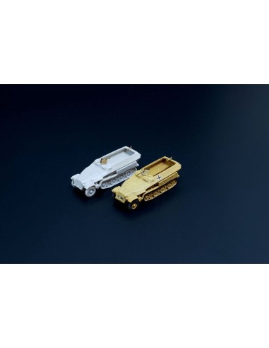 Sd.Kfz. 251D 2pcs 