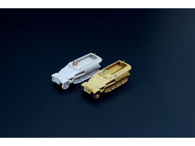 Sd.Kfz. 251D 2pcs 
