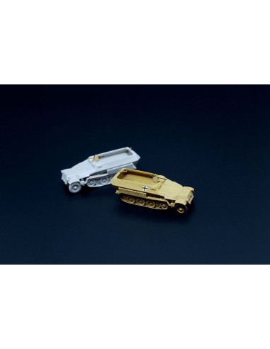 Sd.Kfz. 251D 2pcs 