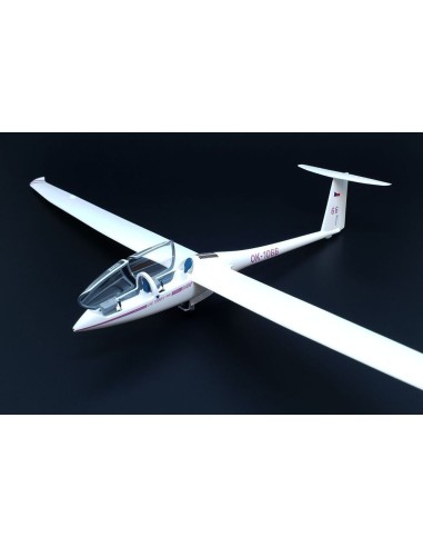 DG-1000S Glider AKVY 