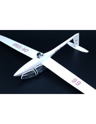 DG-1000S Glider AKVY 