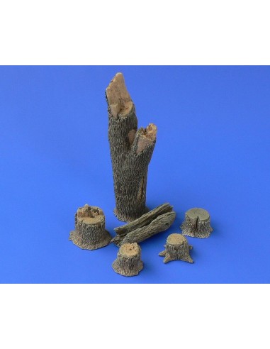 TREE TRUNKS and STUMPS 