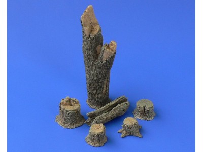 TREE TRUNKS and STUMPS 