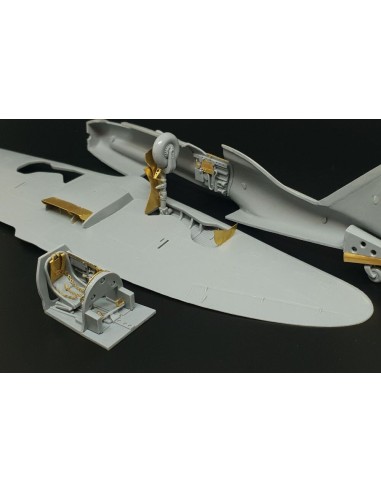 Reggiane Re.2005 (Special Hobby kit) 