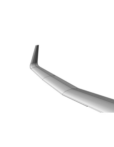 DG-1000 glider- 20m Winglets (Brengun kit) 