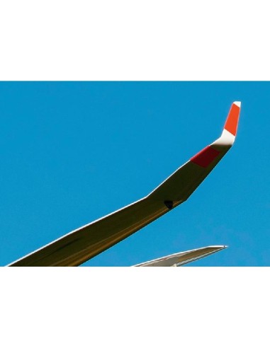 DG-1000 glider- 20m Winglets (Brengun kit) 