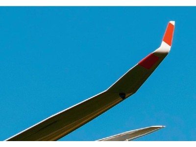 DG-1000 glider- 20m Winglets (Brengun kit) 