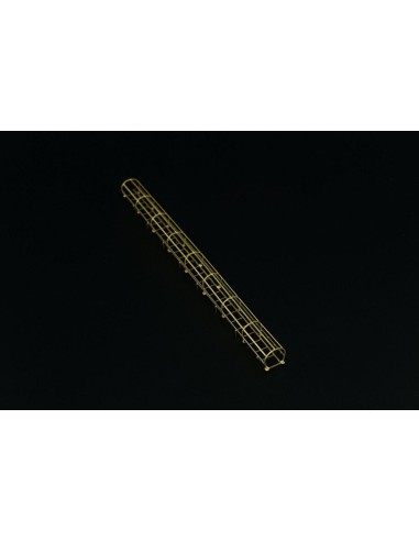Safety cage ladders 