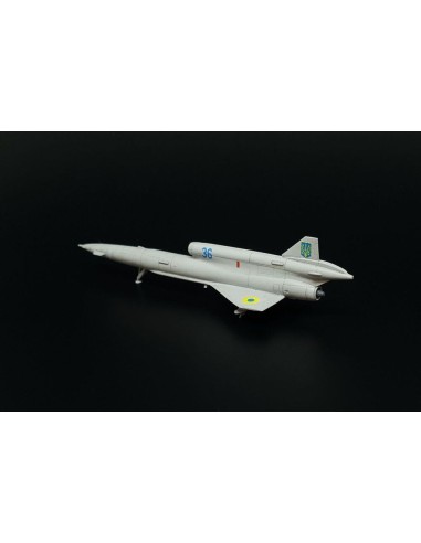 Tupolev Tu-141 Strizh 