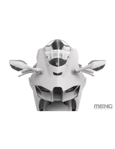 Kawasaki Ninja ZX-10RR 
