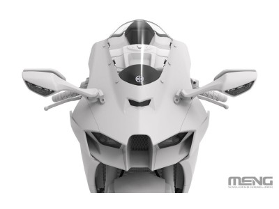 Kawasaki Ninja ZX-10RR 