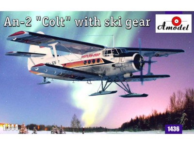 Antonov An-2 'Colt' with ski gear 