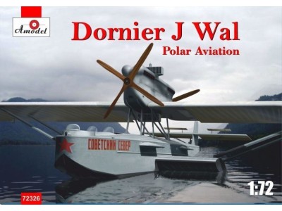 Dornier J Wal, Polar aviation 