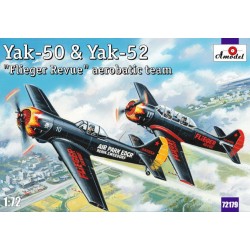 Yak-50 & Yak-52 'Flieger Revue' aerobati  2