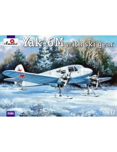 Yakovlev Yak-6M with ski gear 
