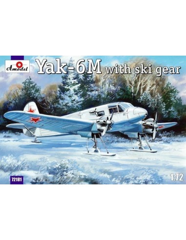 Yakovlev Yak-6M with ski gear 