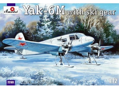 Yakovlev Yak-6M with ski gear 