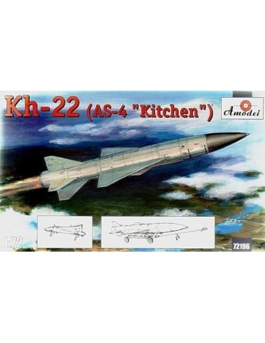 Kh-22(AS-4 'Kitchen') long-range anti-sh 