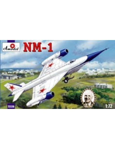 NM-1 