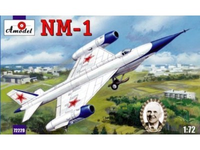 NM-1 