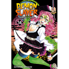 DEMON SLAYER - Tome 14