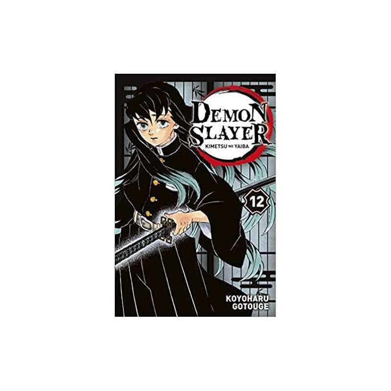 DEMON SLAYER - Tome 12