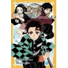 DEMON SLAYER - Roman - Tome 1