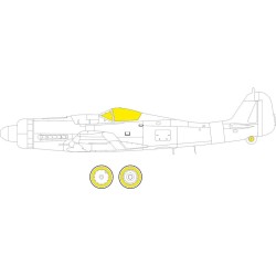 Fw 190D-9 for IBG 