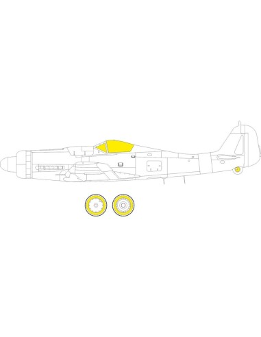 Fw 190D-9 for IBG 