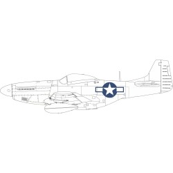 P-51D US national insignia 