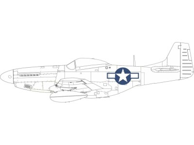 P-51D US national insignia 