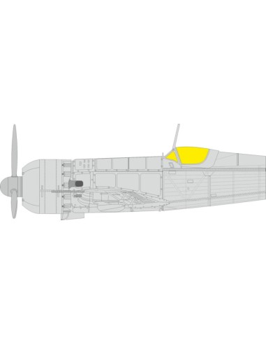 IAR-80   IBG 