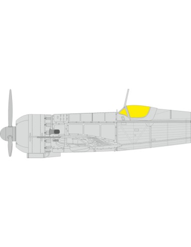 IAR-81C   IBG 