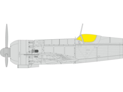 IAR-81C   IBG 