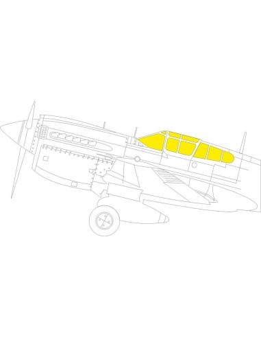 P-40M 1/32 for TRUMPETER 