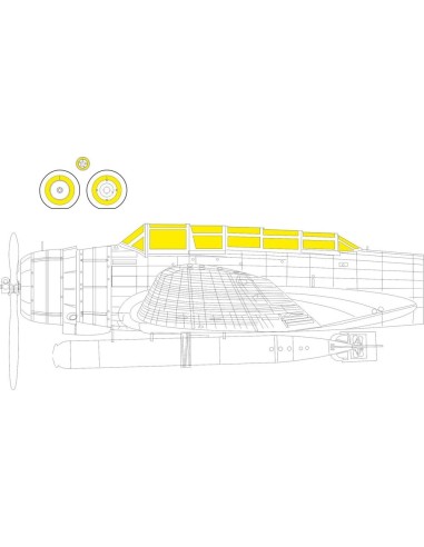 B5N2 TFace  BORDER MODEL 