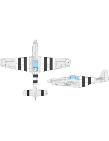 P-51B/C D-day stripes  EDUARD 