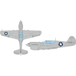 P-40E US national insignia circular  EDUARD 