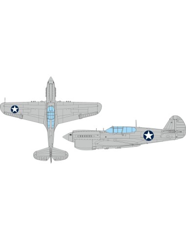 P-40E US national insignia circular  EDUARD 