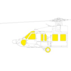 UH-60A TFace  ICM 