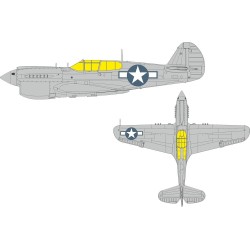 P-40N US national insignia  EDUARD 
