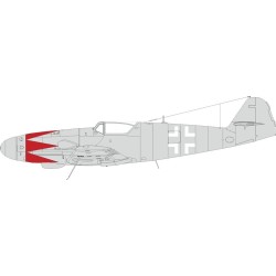 Bf 109K-4 tulip pattern & national insignia 1/48 