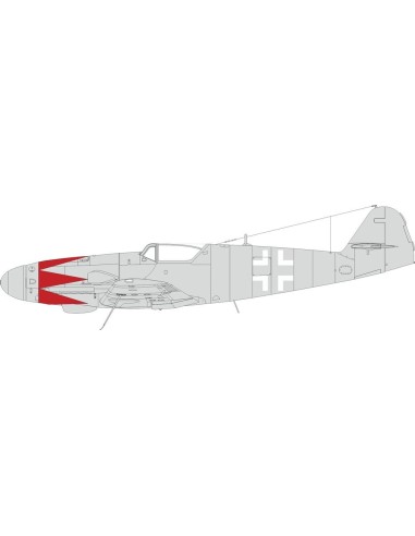 Bf 109K-4 tulip pattern & national insignia 1/48 