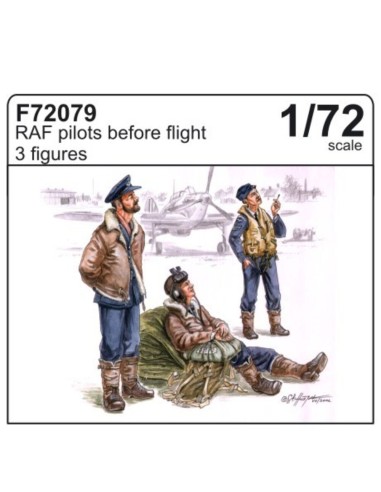 RAF Piloten 